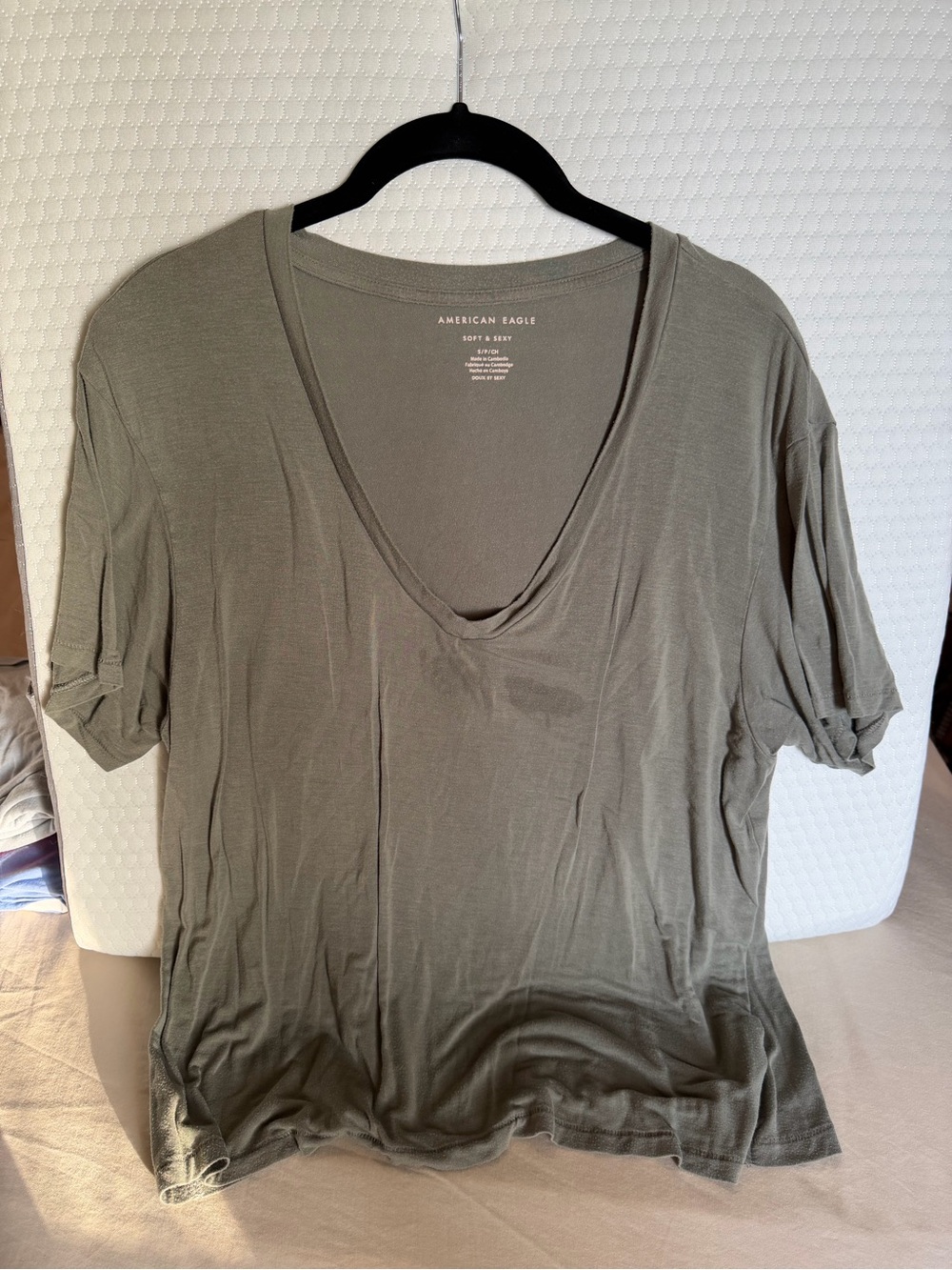 American Eagle Outfitters Soft & Sexy V-Neck Tee in Sage Green